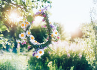 Beltane: The Ancient Celebration Revived