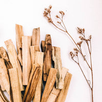 The Benefits of Sage and Palo Santo